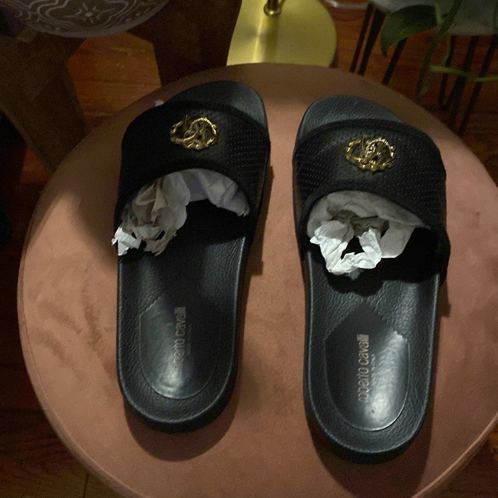 Roberto Cavalier Slides - Picture 2 of 3